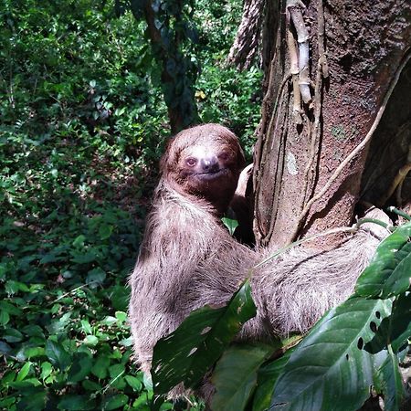 Mombacho Lodge グラナダ エクステリア 写真