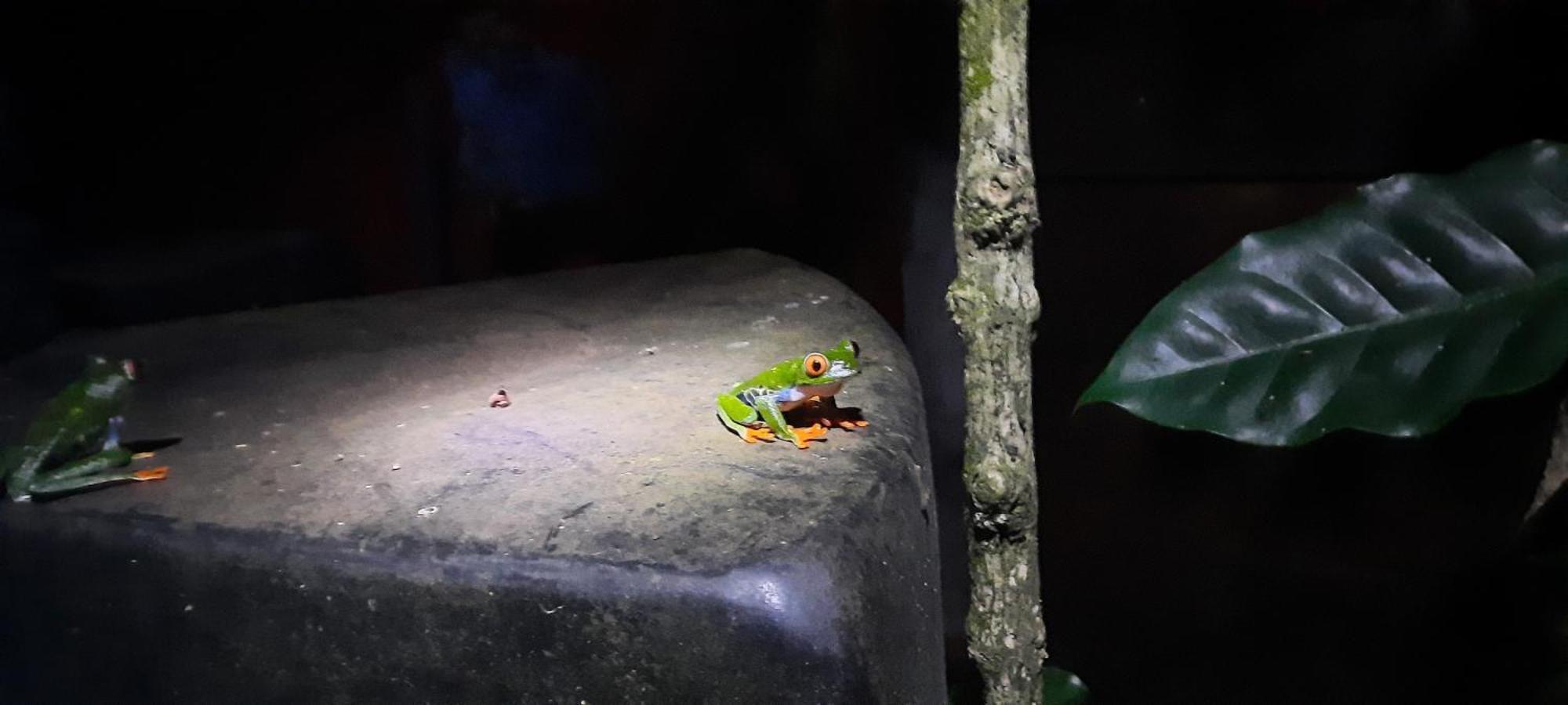 Mombacho Lodge グラナダ エクステリア 写真