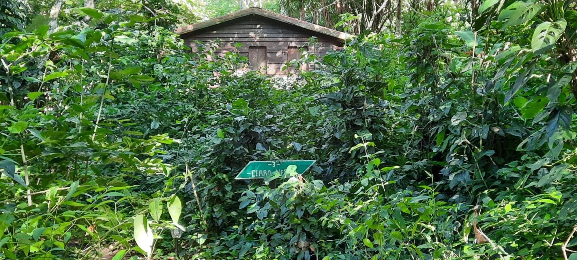 Mombacho Lodge グラナダ エクステリア 写真