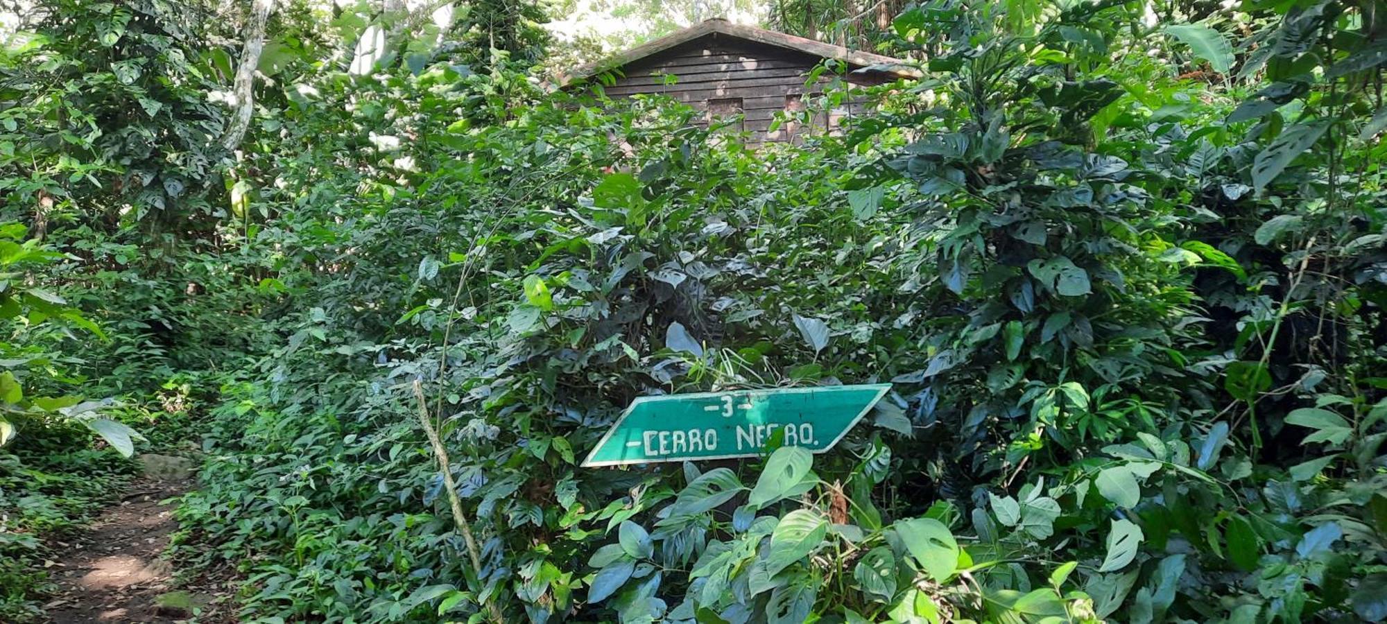 Mombacho Lodge グラナダ エクステリア 写真