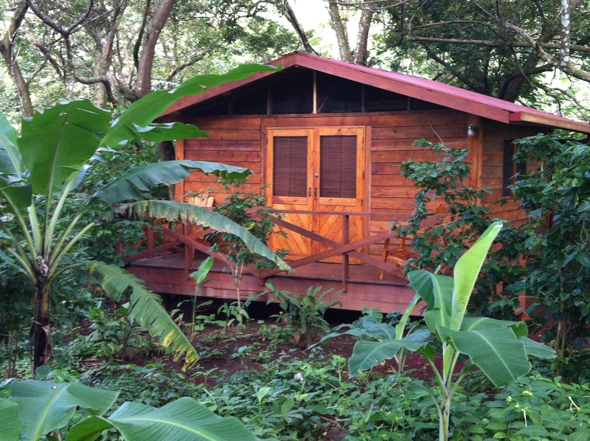 Mombacho Lodge グラナダ 部屋 写真