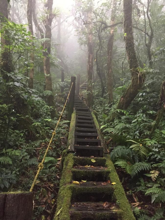 Mombacho Lodge グラナダ エクステリア 写真
